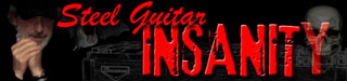 Steel Guitar Insanity blog